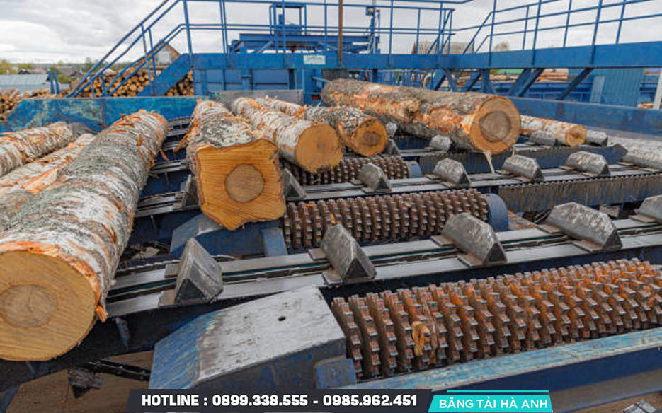 Băng tải dùng trong sản xuất gỗ công nghiệp