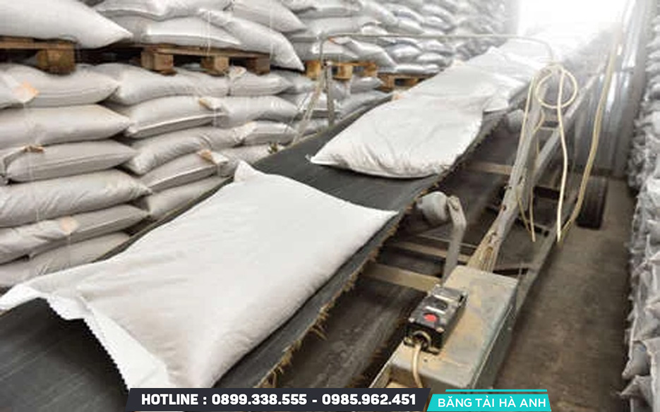 Ứng dụng của băng tải vận chuyển gạo